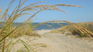 A sandy beach path leading to the ocean, with tall grasses and sea oats in the foreground.