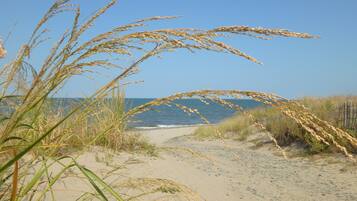 Playa en los alrededores y camastros