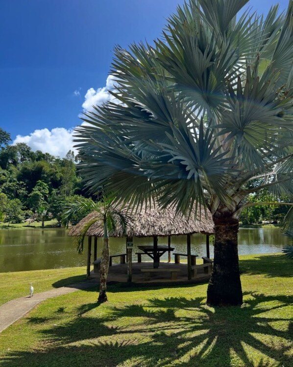 Property grounds - Centrally located COUVA Family Home. Relax, Explore, and Stay Secure! (Couva)