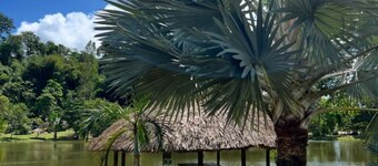 Centrally located COUVA Family Home. Relax, Explore, and Stay Secure!