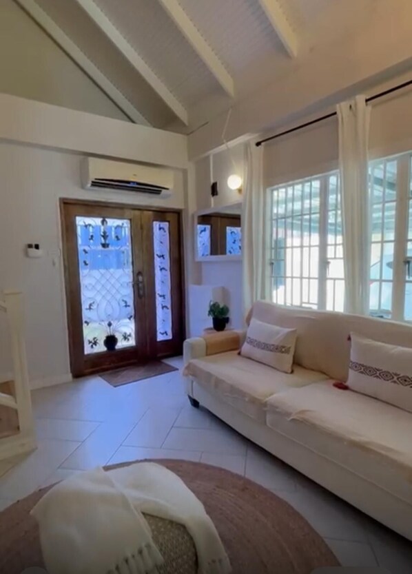 Smart TV, fireplace, books, computer monitors