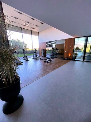 A spacious indoor gym with exercise equipment, large windows, and a potted plant.