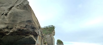 Kereru Creek by Tiny Away