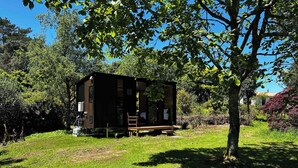 A small wooden cabin with a porch, surrounded by lush greenery. - Kereru Creek by Tiny Away (Tataraimaka)