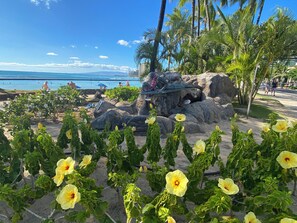 Sillas reclinables de playa, toallas de playa