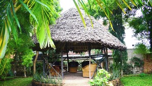 A thatched-roof hut with a stone staircase leading up to it, surrounded by lush greenery.