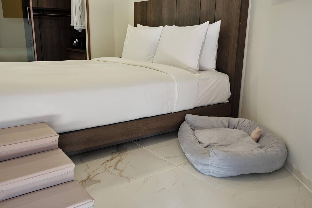 A neatly made bed with white bedding, a wooden headboard, and a gray pet bed beside it.