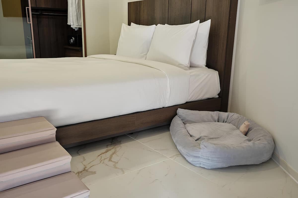 Pet Signature Botanic Suite