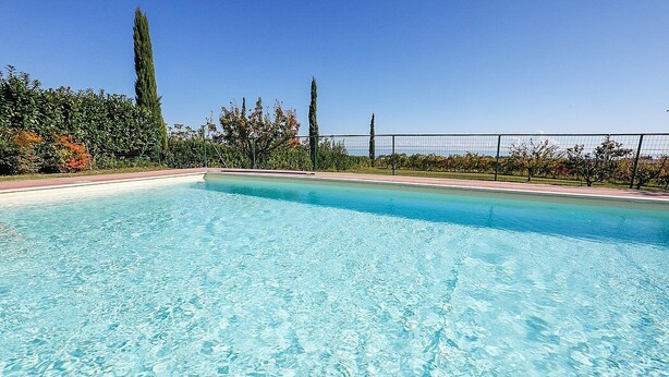 A clear swimming pool with a fenced area, surrounded by trees and a clear sky.