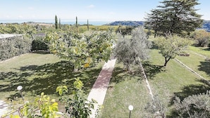 A garden with a pathway, various trees, and a view of the sea.