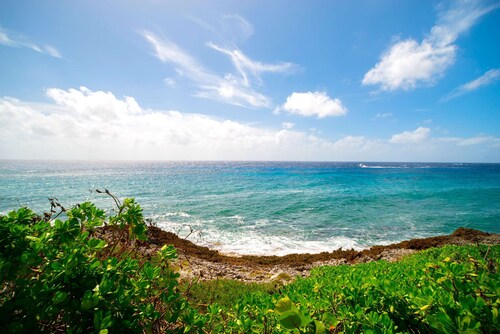 Lovely Studio Apt Near Ocean w/ Private Deck + BBQ