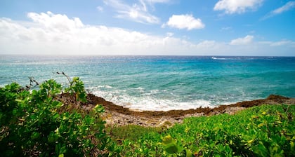 Lovely Studio Apt Near Ocean w/ Private Deck + BBQ