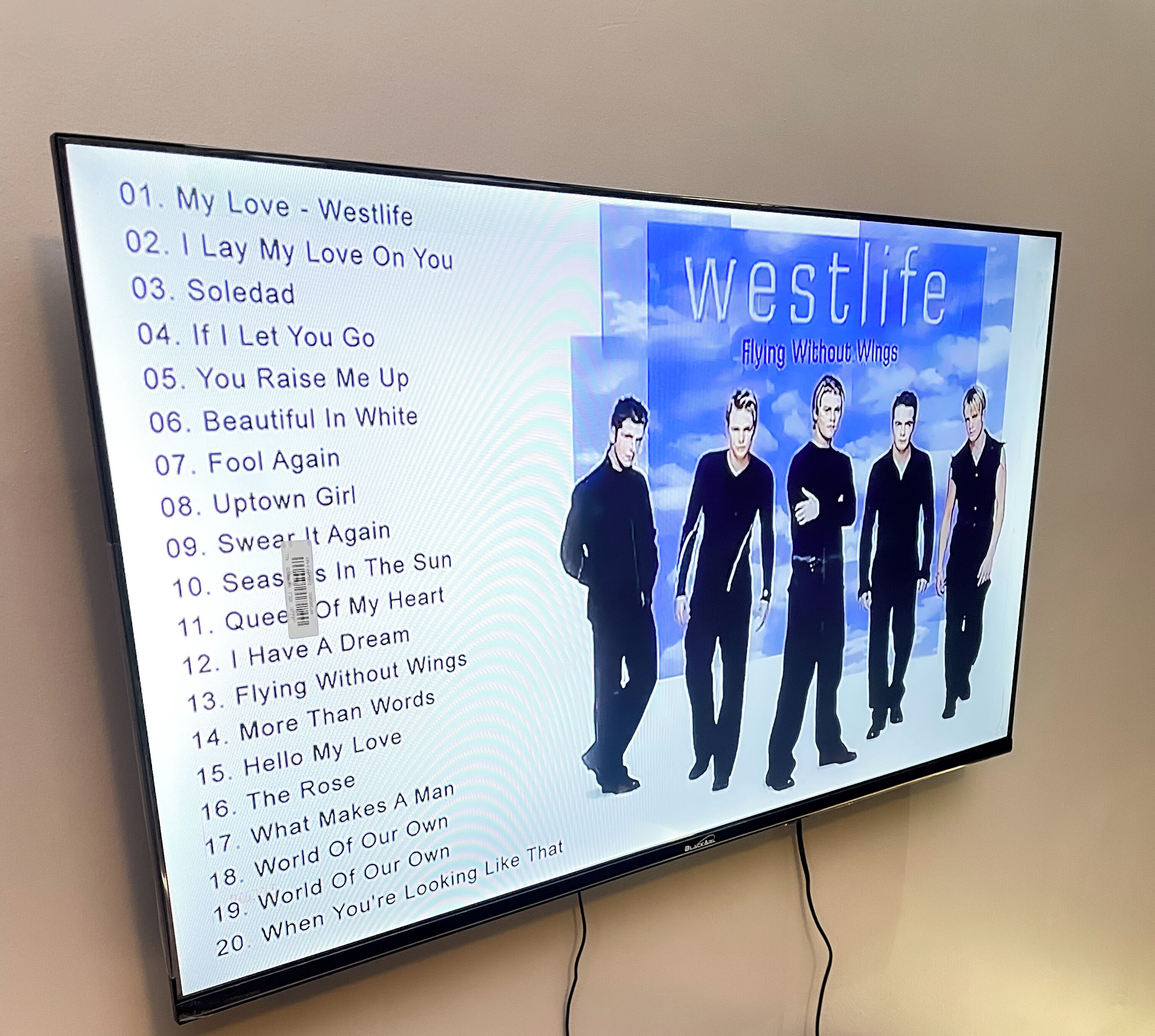 Flatskjerm-TV og DVD-spiller