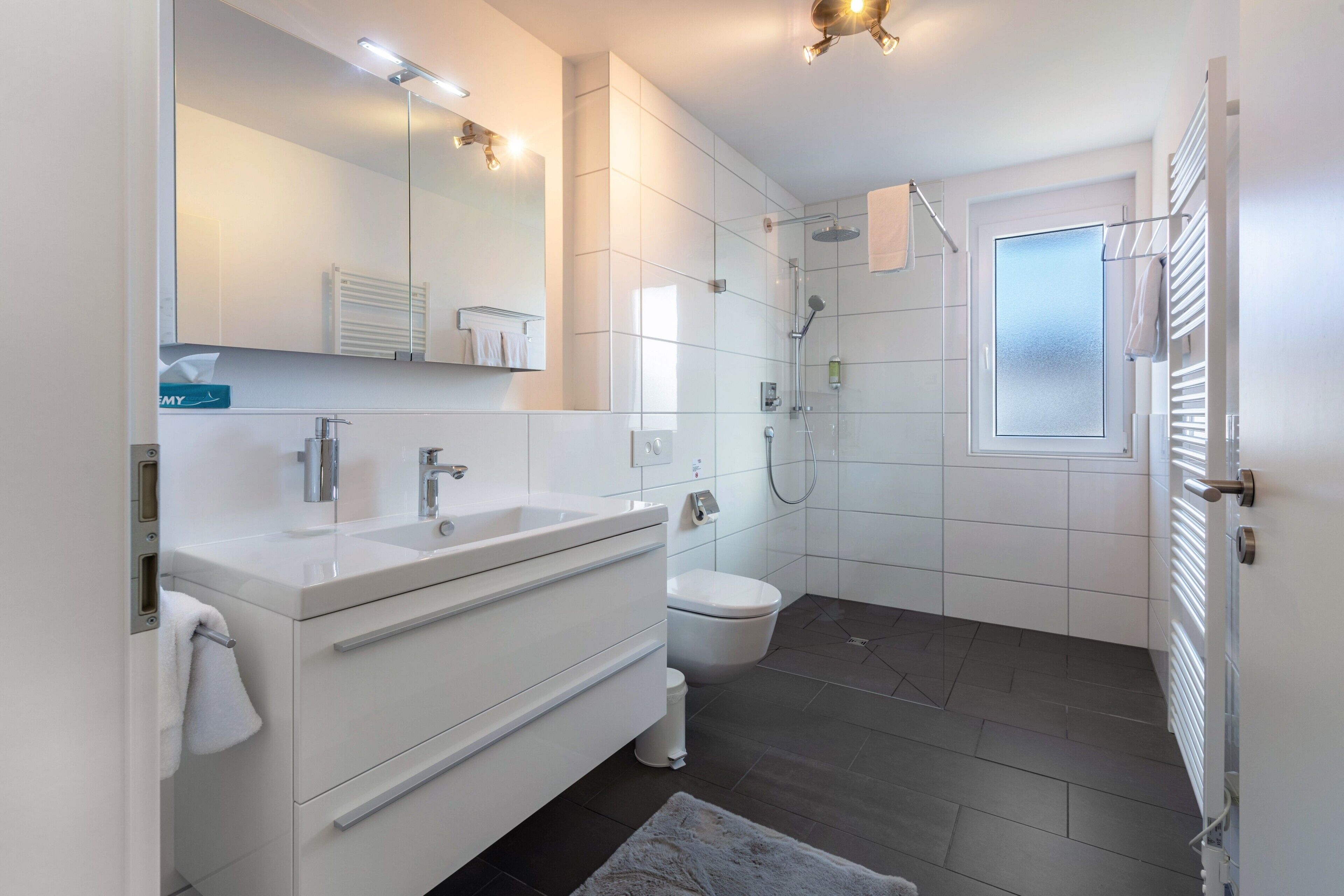 Shower, hair dryer, towels