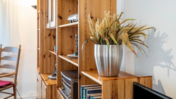A wooden bookshelf with a metal pot containing plants, a chair, and books. - Apartment 'Fewo Bauer Mecke' with Shared Garden (Mirow)
