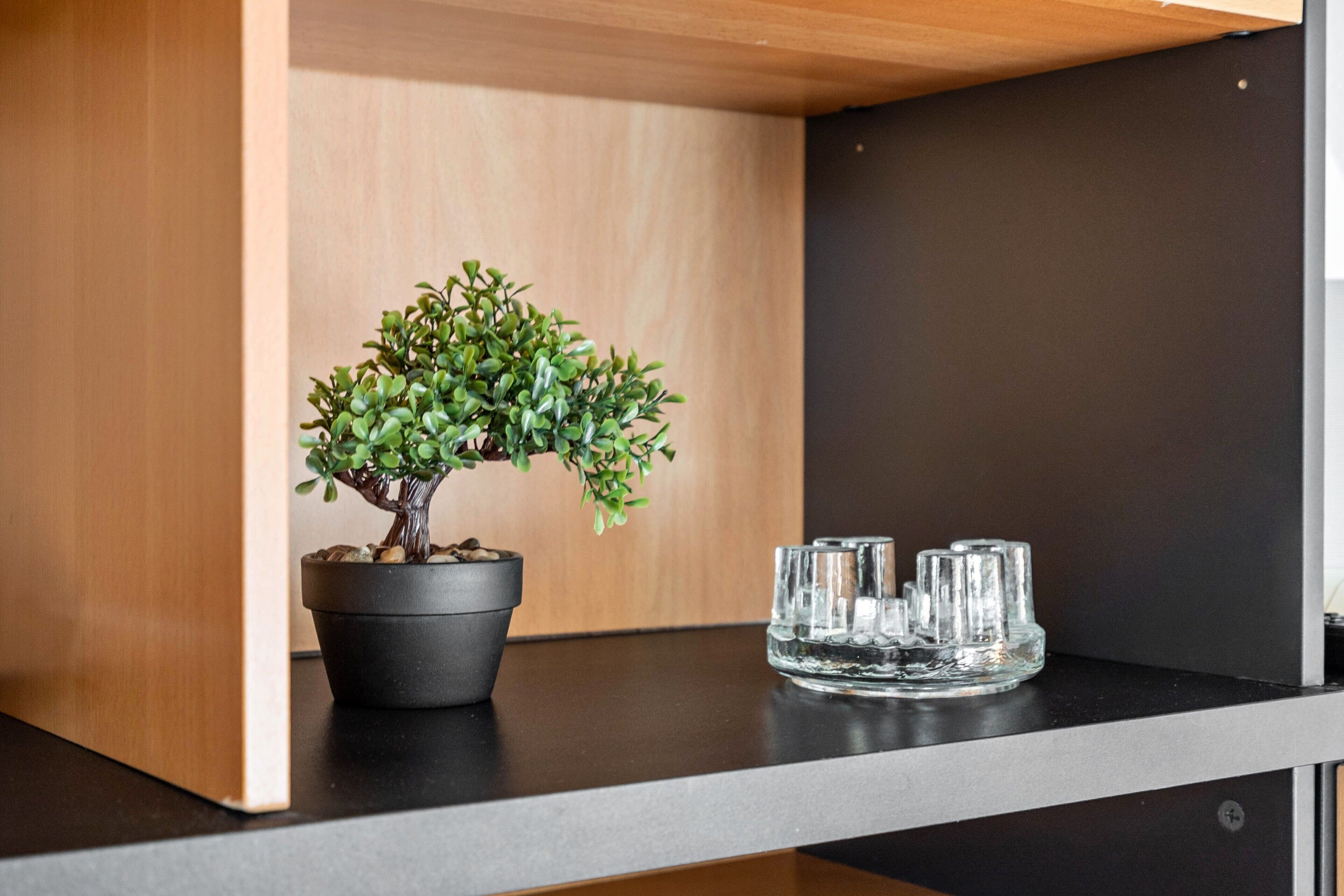 A potted plant on a black countertop with a glass ashtray.