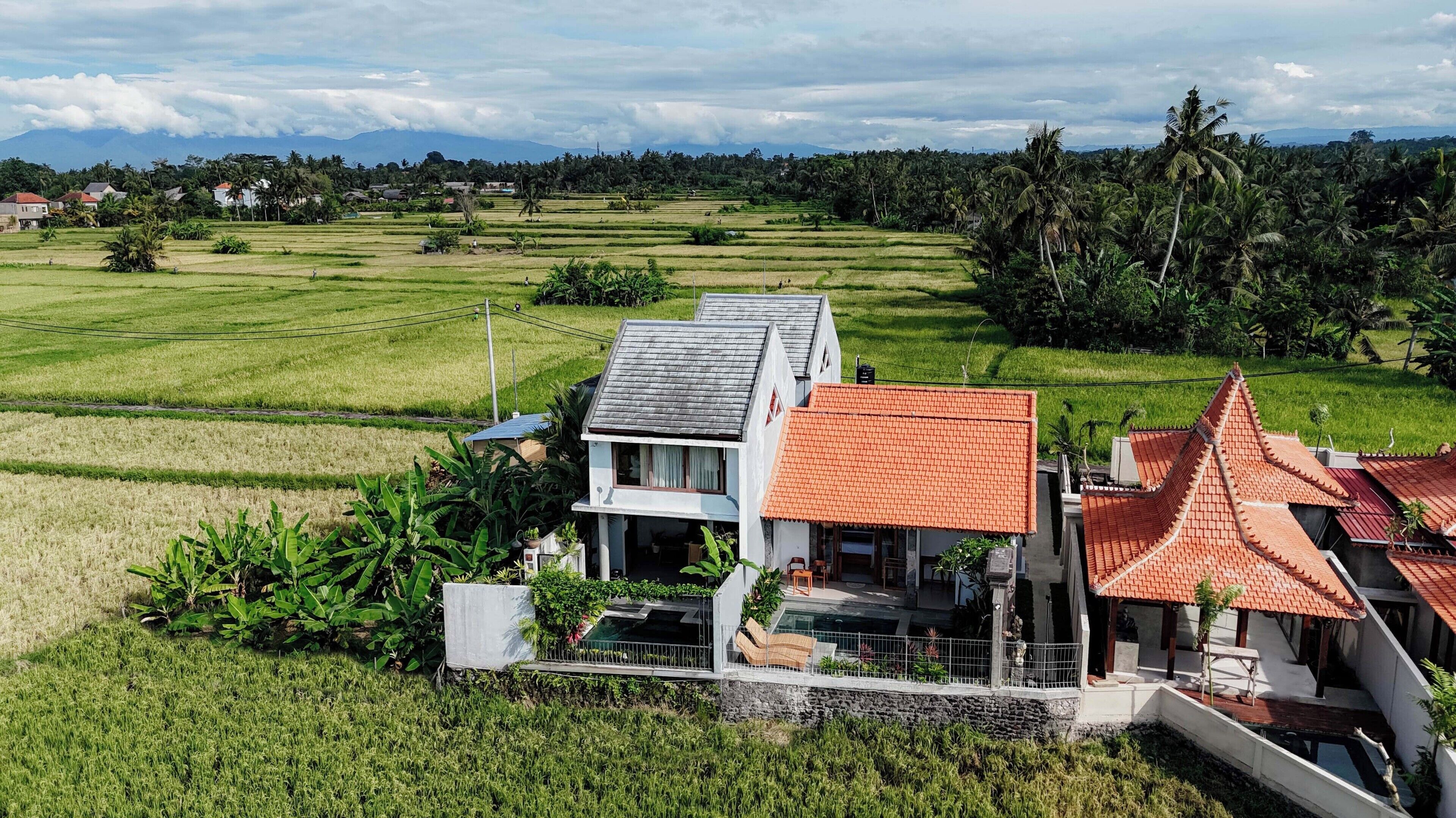 Une maison avec un toit recouvert de tuiles rouges, entourée de champs verdoyants et de palmiers.