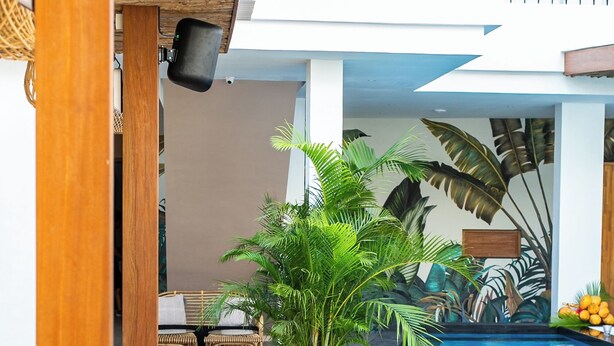 A poolside area with wooden decking, a seating area with wicker furniture, and a large potted plant. - Coco & Pineapple Pants Hostel (Canggu)