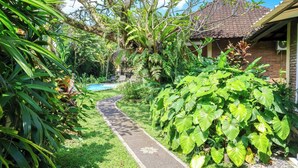 Un sendero de jardín que conduce a una casa con techo de tejas, rodeada de abundante vegetación y una piscina.