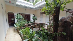 Um jardim interno amplo com uma ponte de madeira, plantas em vasos e uma parede de pedra.