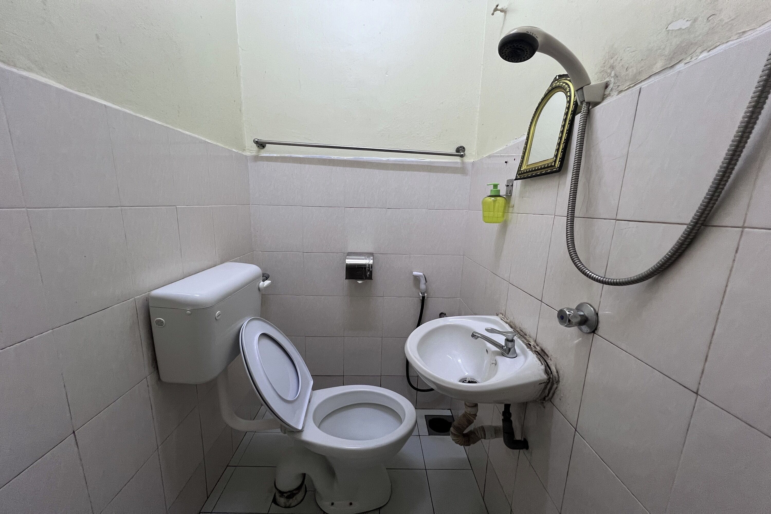 Une petite salle de bain avec des toilettes, un lavabo et une douche.