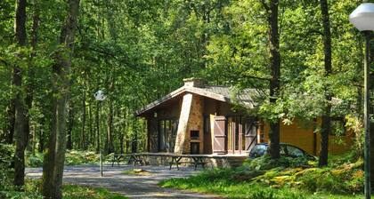 Chalet in Belgium near Scenic Hiking Trails
