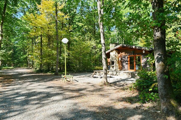 A rustic cabin with a stone foundation, surrounded by a forested area with a gravel path leading to it.