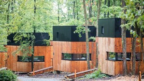 A row of wooden cabins with large windows, surrounded by trees in a forest setting.