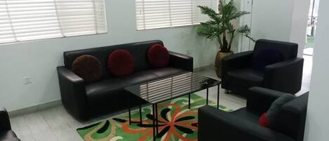A modern living room with a black sofa, a coffee table, and a potted plant.