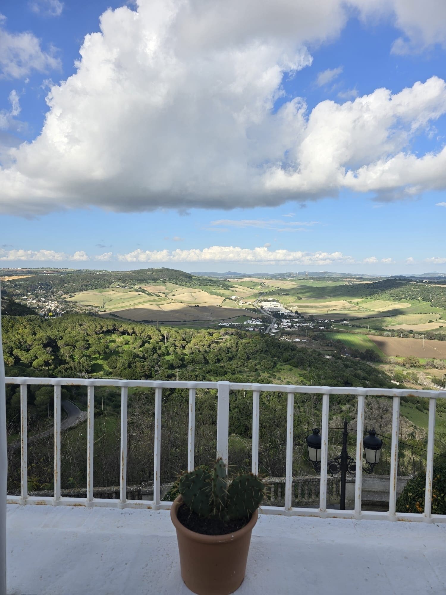 Un balcón con una maceta de cactus, con vistas a un valle con campos y un pueblo pequeño.