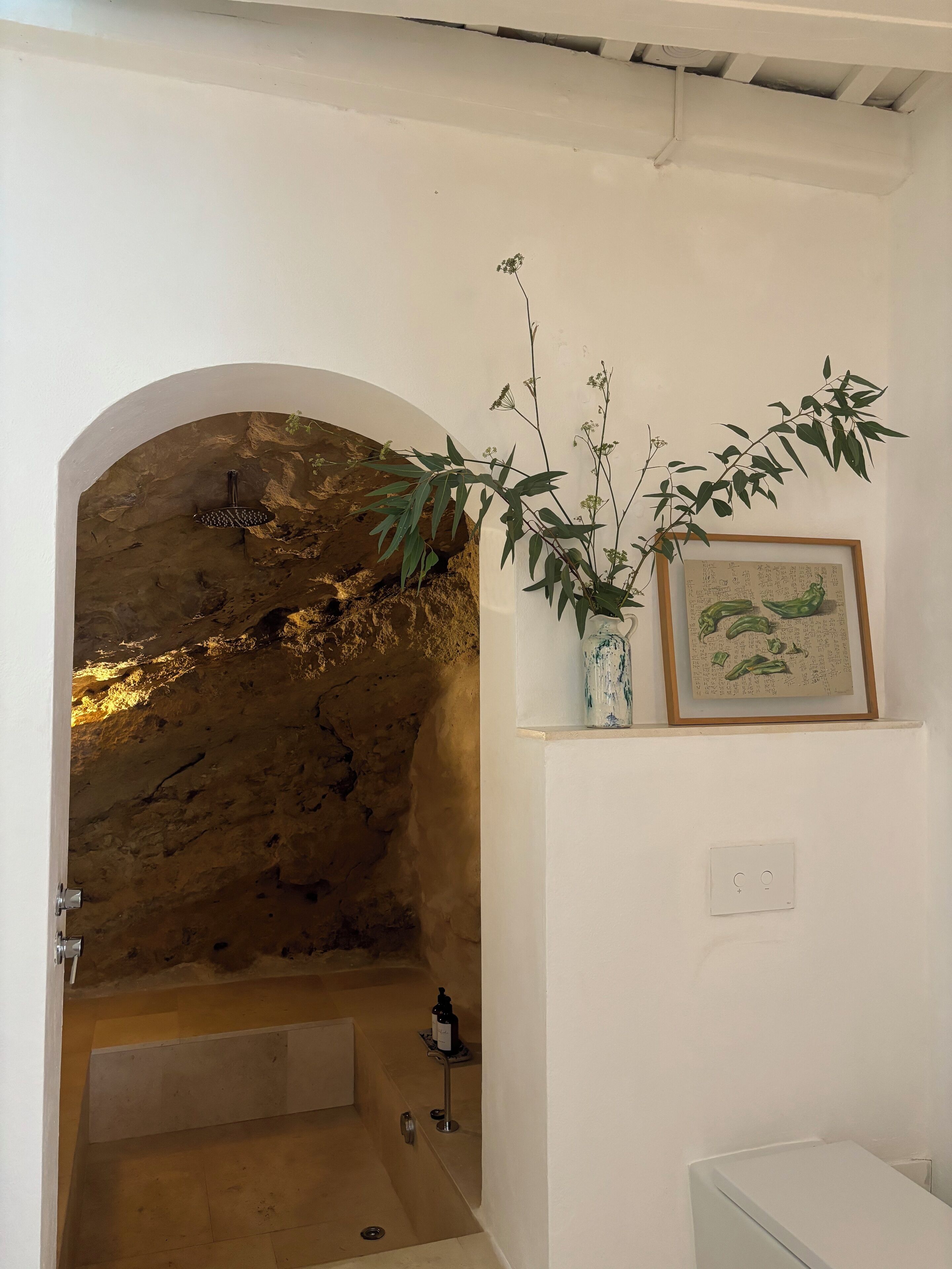 A bathroom with a stone wall, a bathtub, a sink, and a plant.