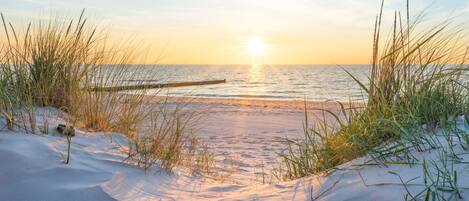Nära stranden