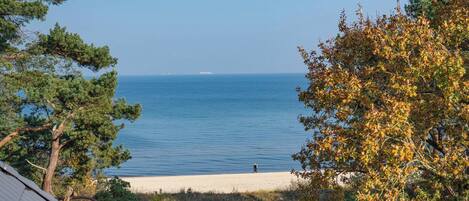 In Strandnähe