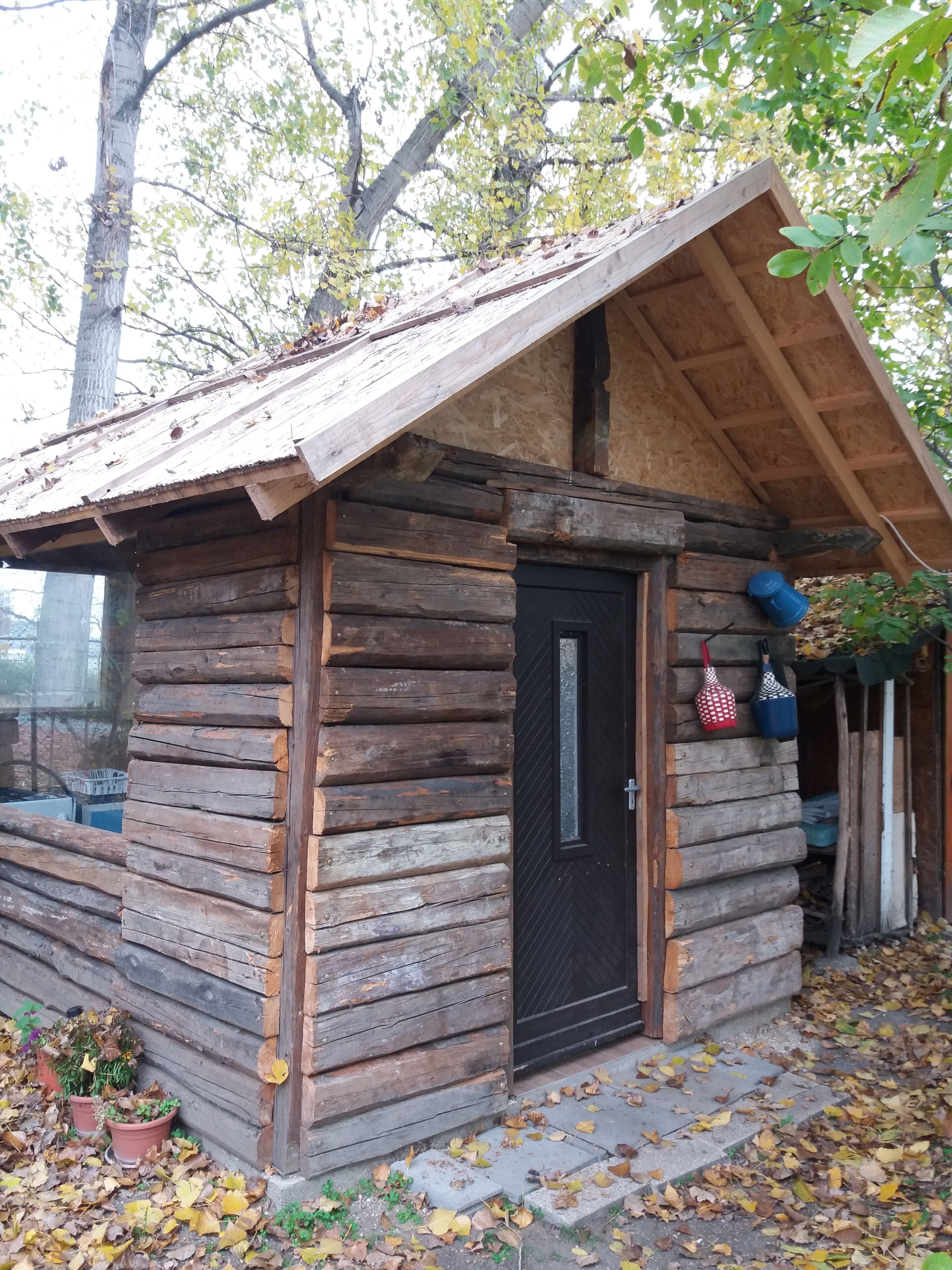Une cabane en bois rustique avec une porte noire, un petit porche et quelques plantes en pot près de l’entrée.
