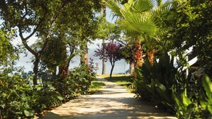 A pathway lined with lush greenery and palm trees, leading towards a body of water. - Hotel Sissy (Kamena Vourla)