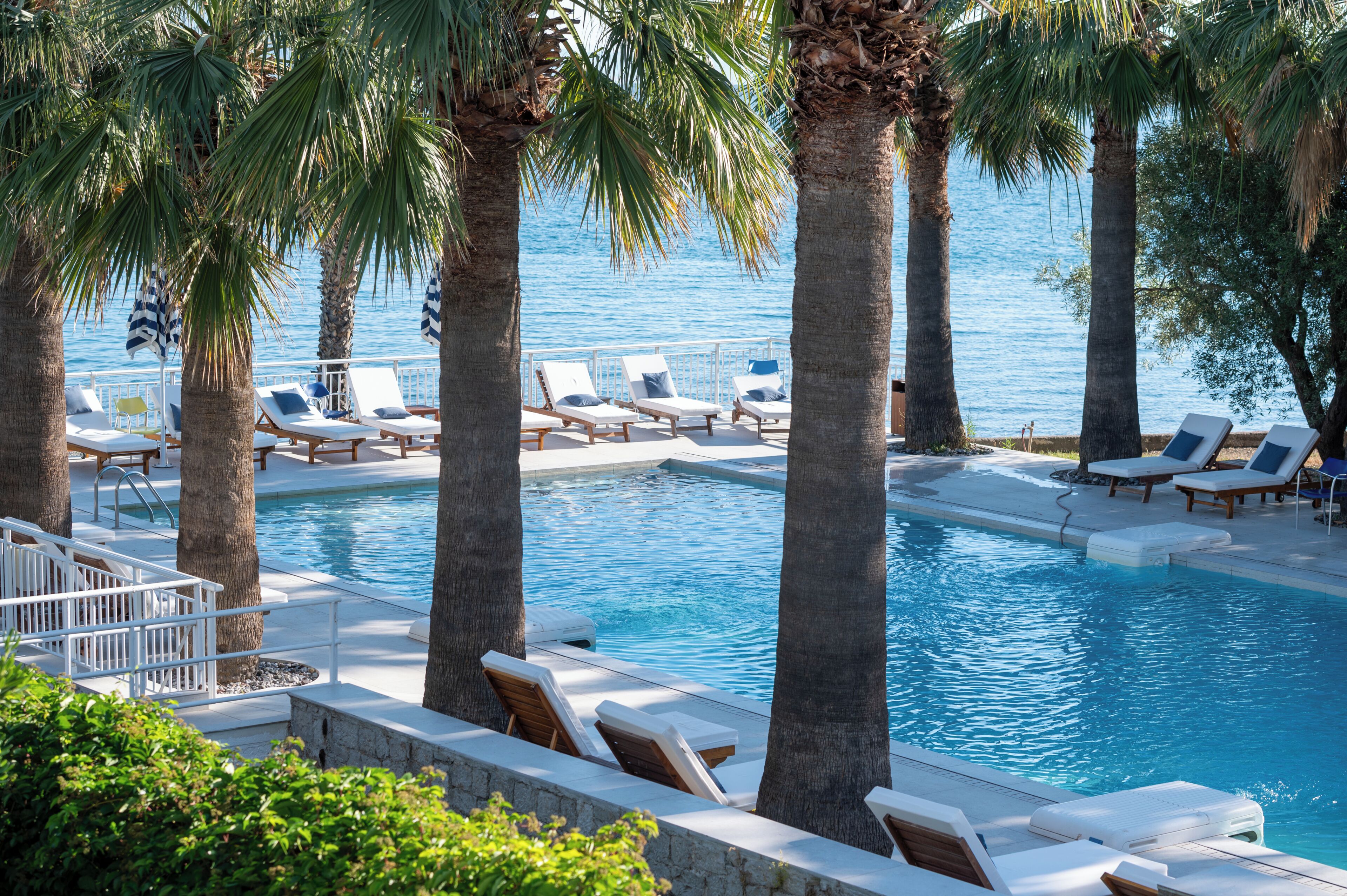 A poolside area with lounge chairs and palm trees.