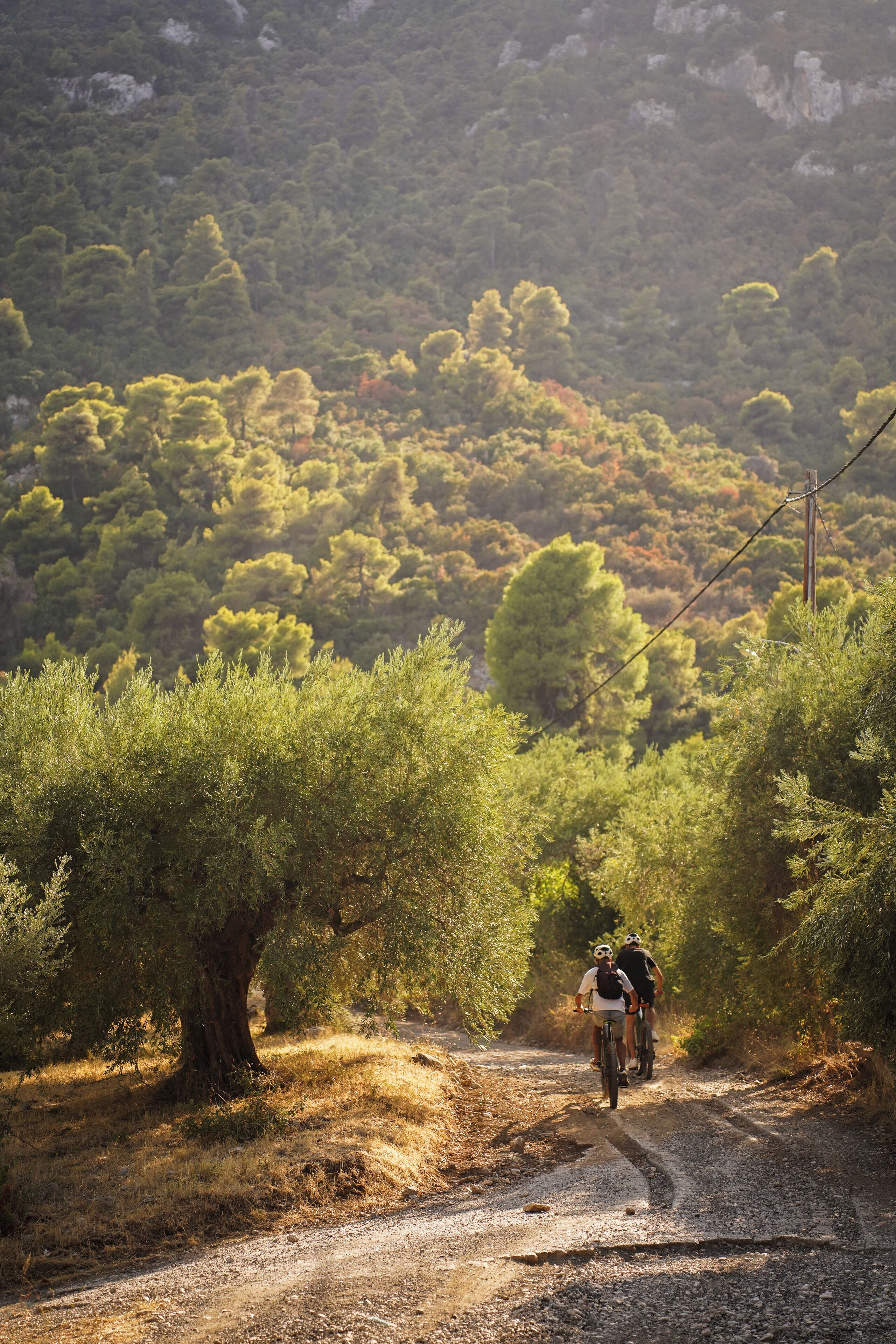 Un sendero de tierra con dos ciclistas en un entorno natural, con árboles y una colina al fondo.