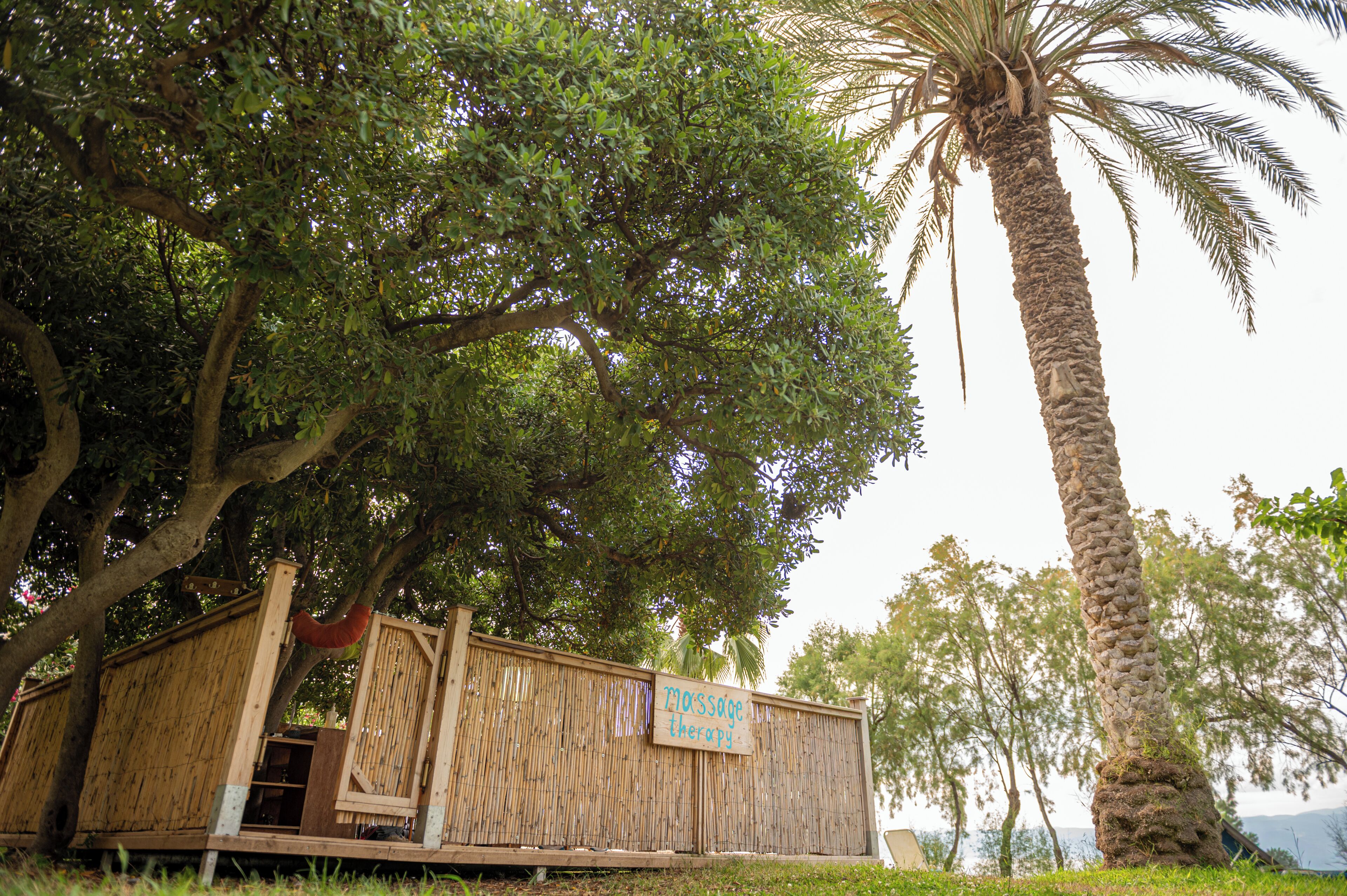 Una estructura de madera con un letrero que indica masajes, rodeada de árboles y una palmera.