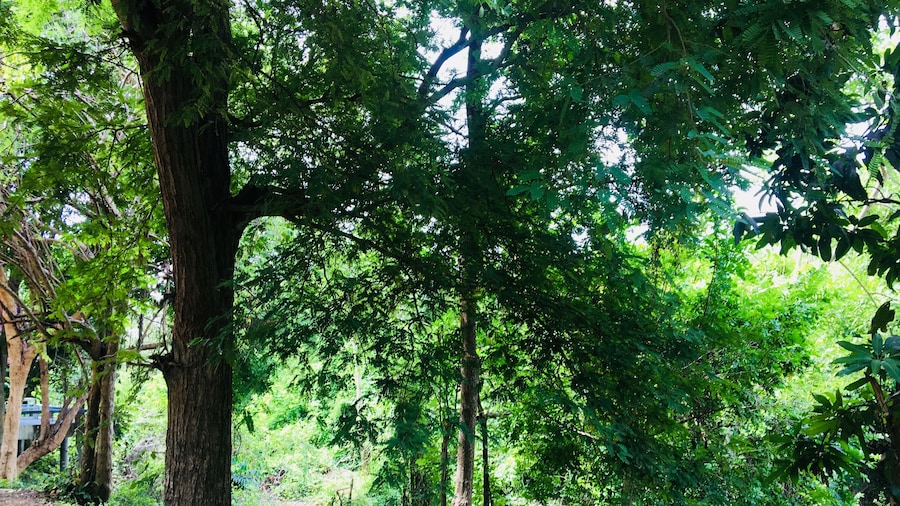 ルンヨッド ゲストハウス