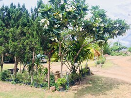 Jardín