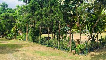 A garden with various trees and plants, a dirt path, and a parked car in the background.