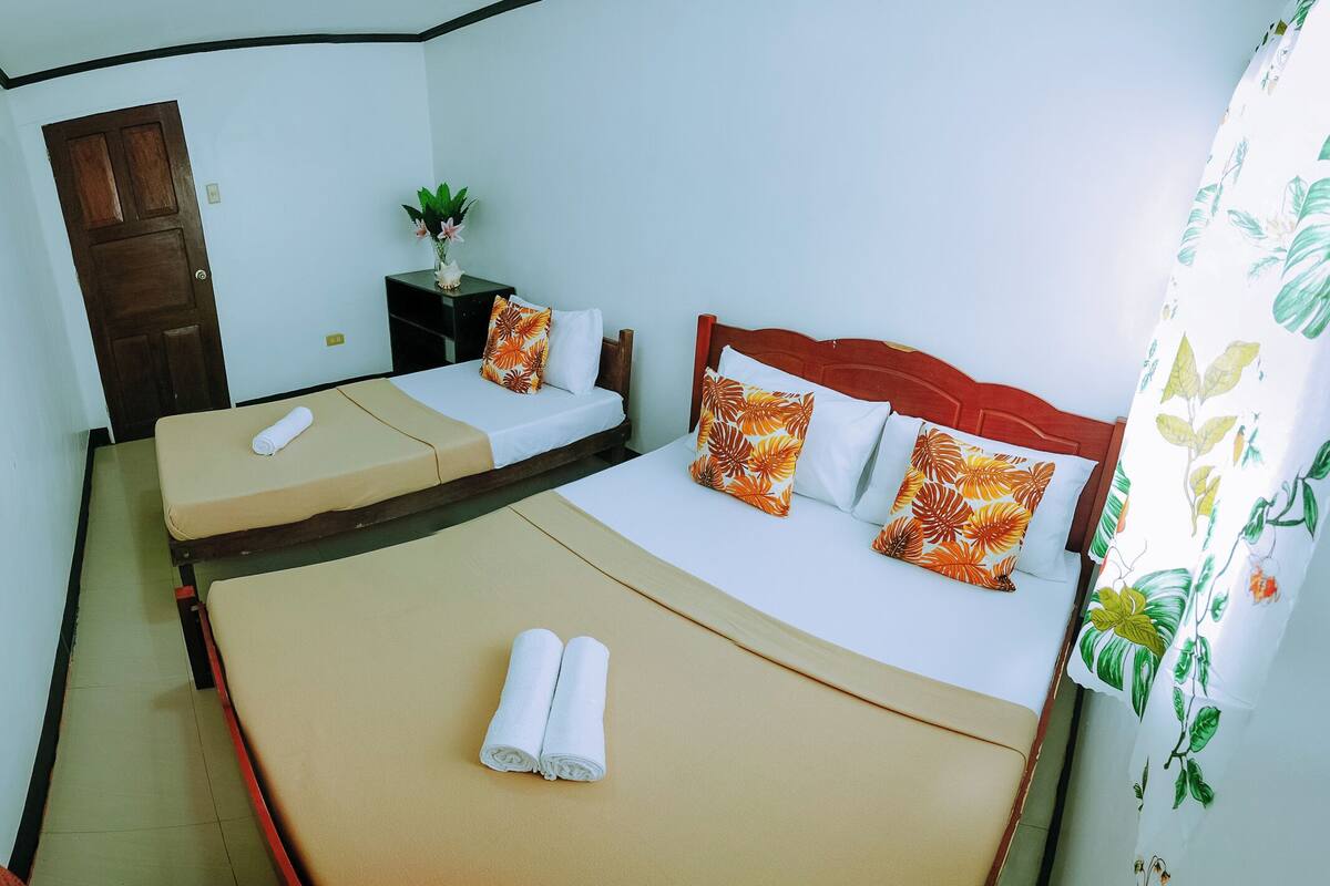 A hotel room with two beds, a wooden door, a small table with a plant, and a curtain with a floral pattern.
