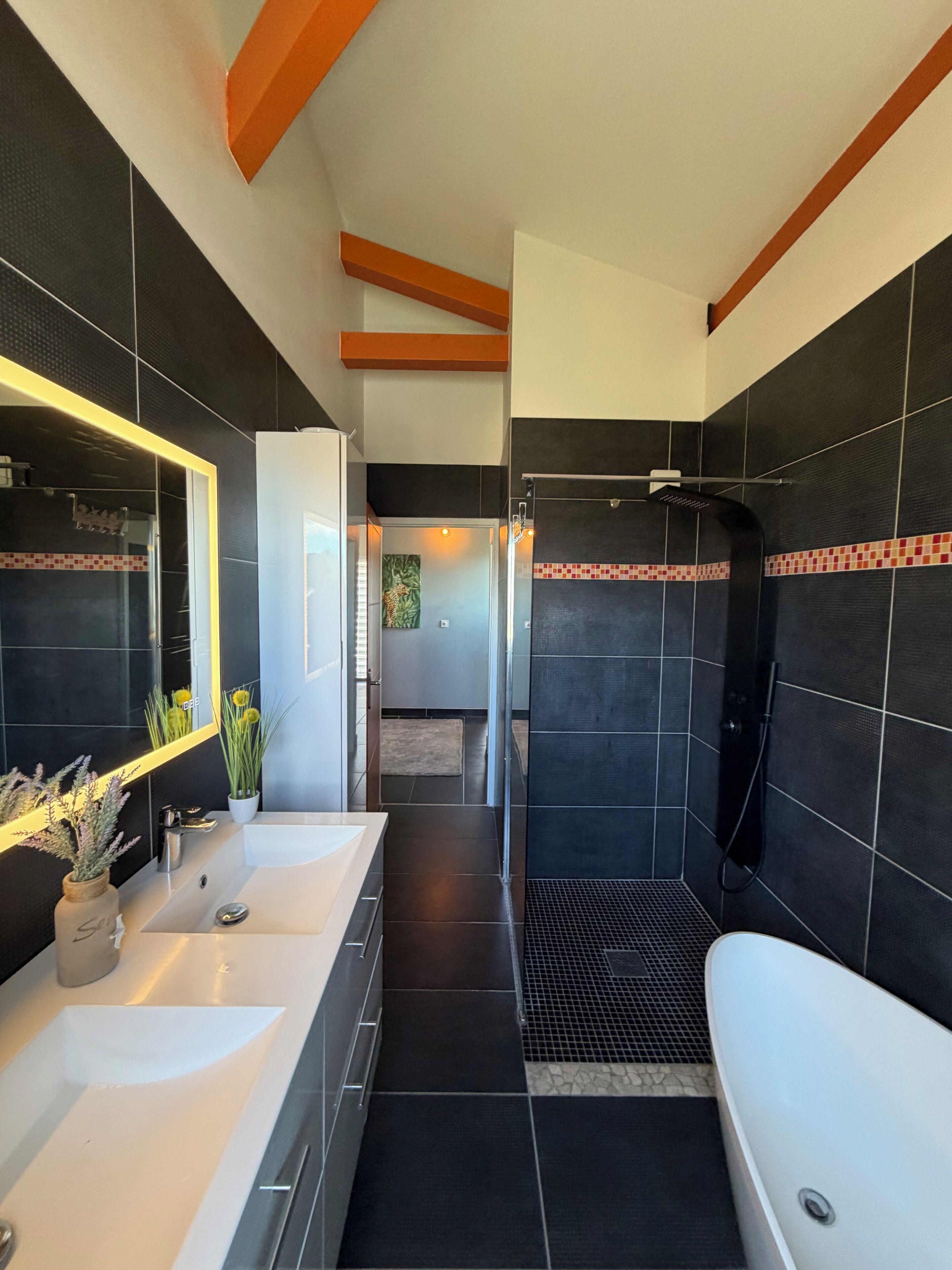 Dusche, Haartrockner