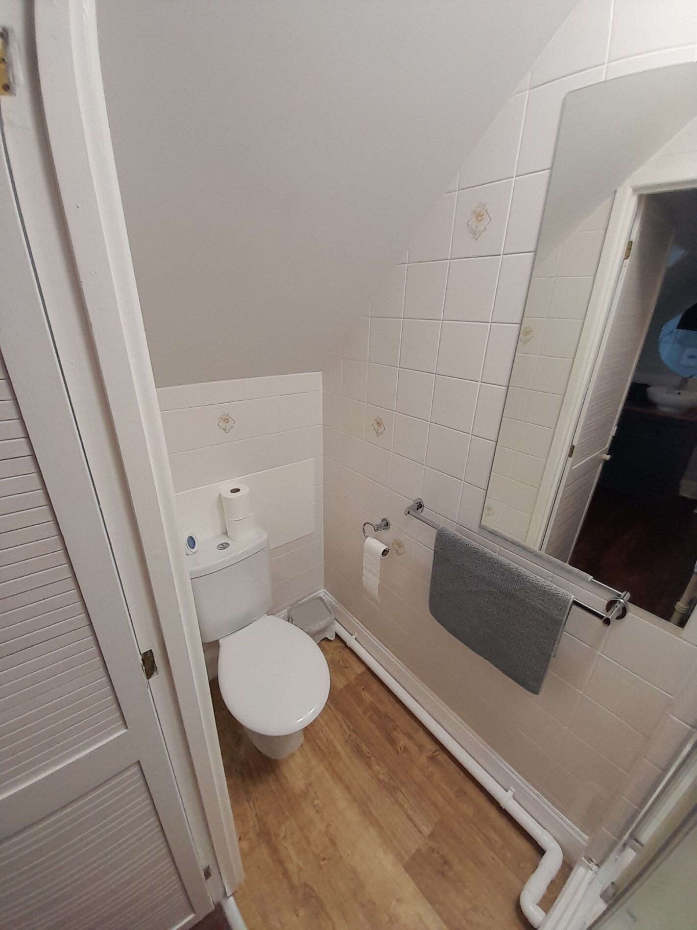 A small, compact bathroom with a white toilet, a shower area with a glass door, and a mirror.