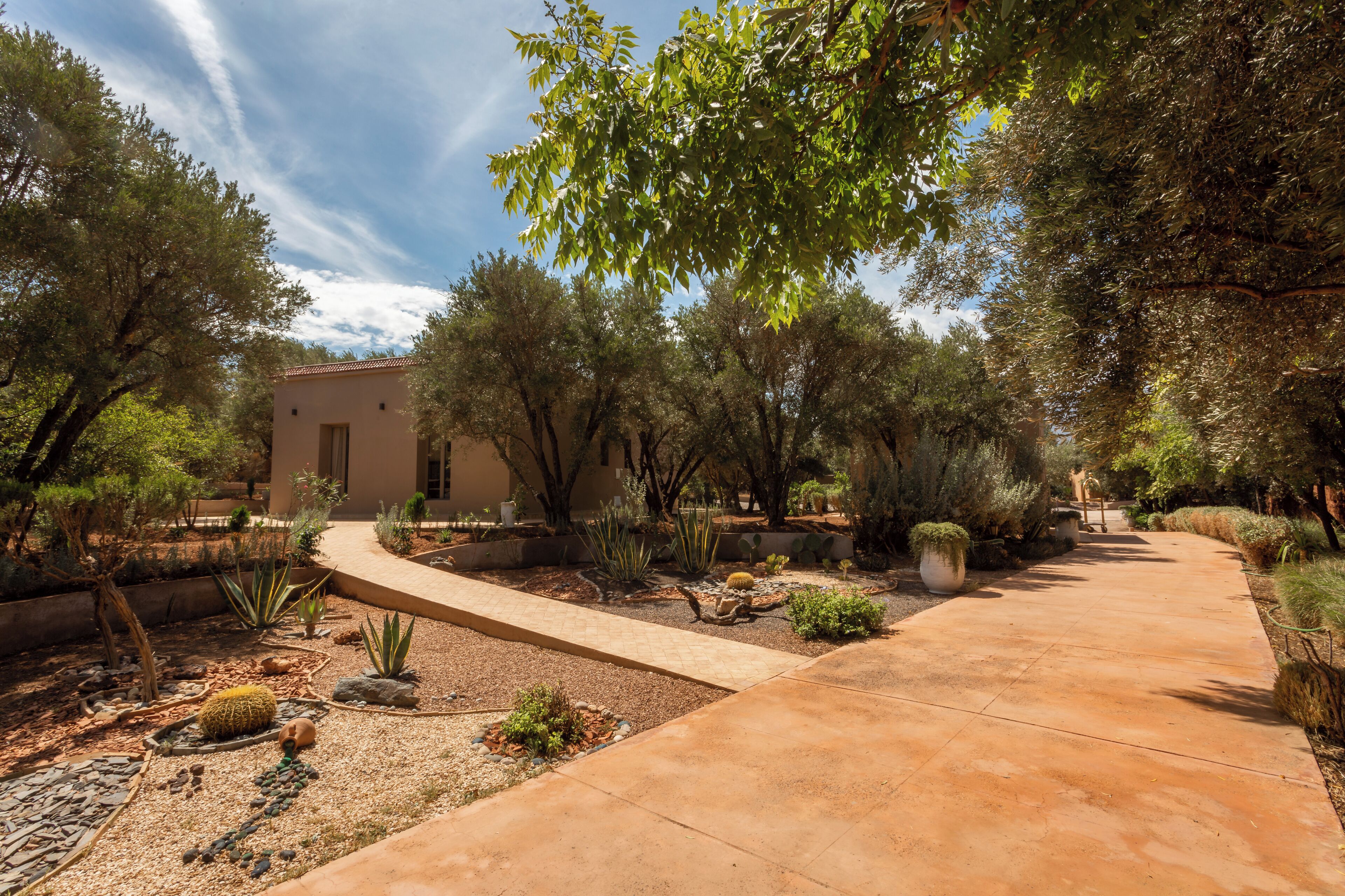 Un sendero de jardín que lleva a un edificio con tejado de baldosas, rodeado de diversas plantas y árboles de zonas áridas.