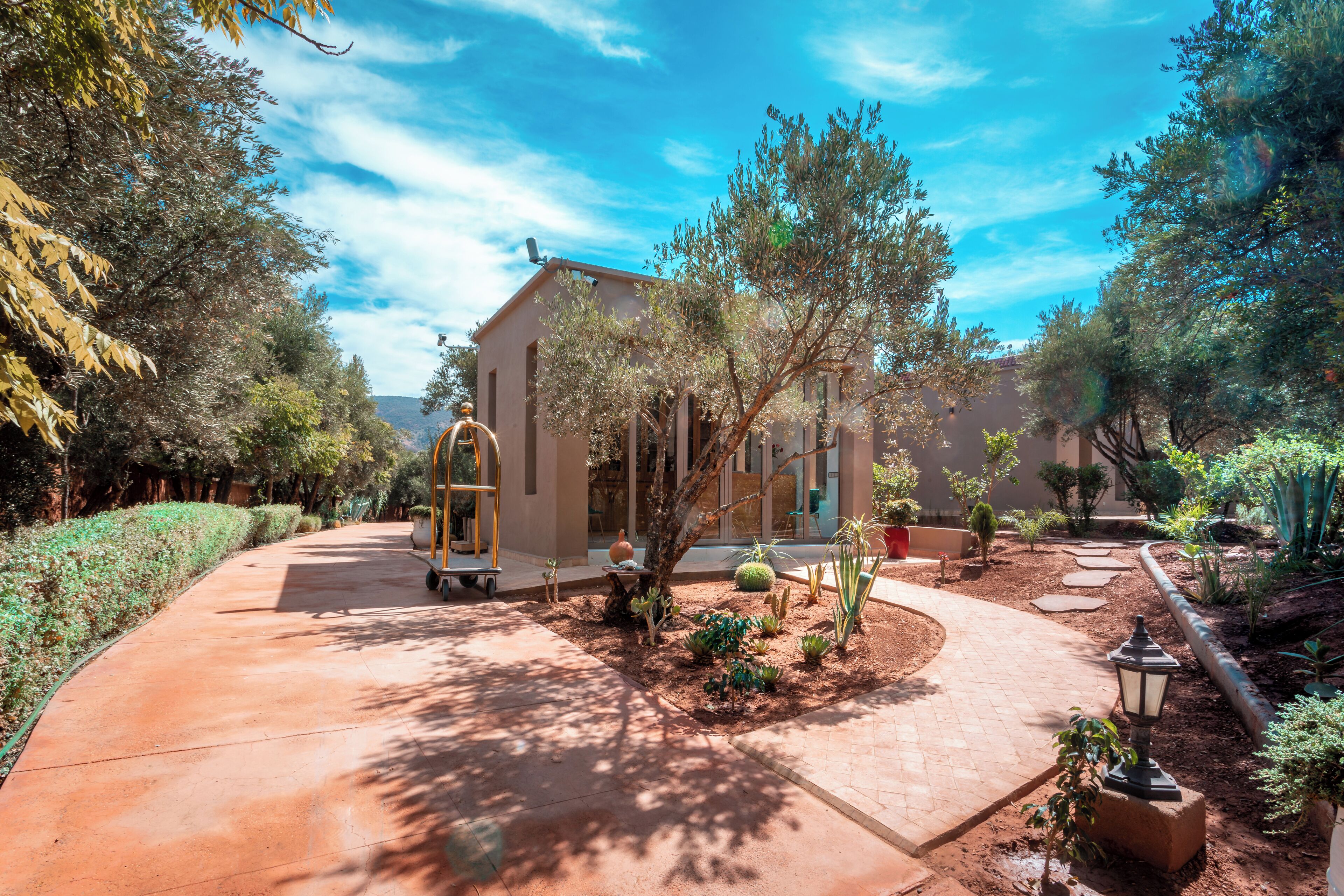 A courtyard with a building, a wheelchair, and various plants.