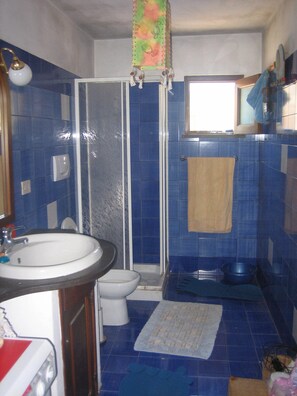 Shower, towels, toilet paper