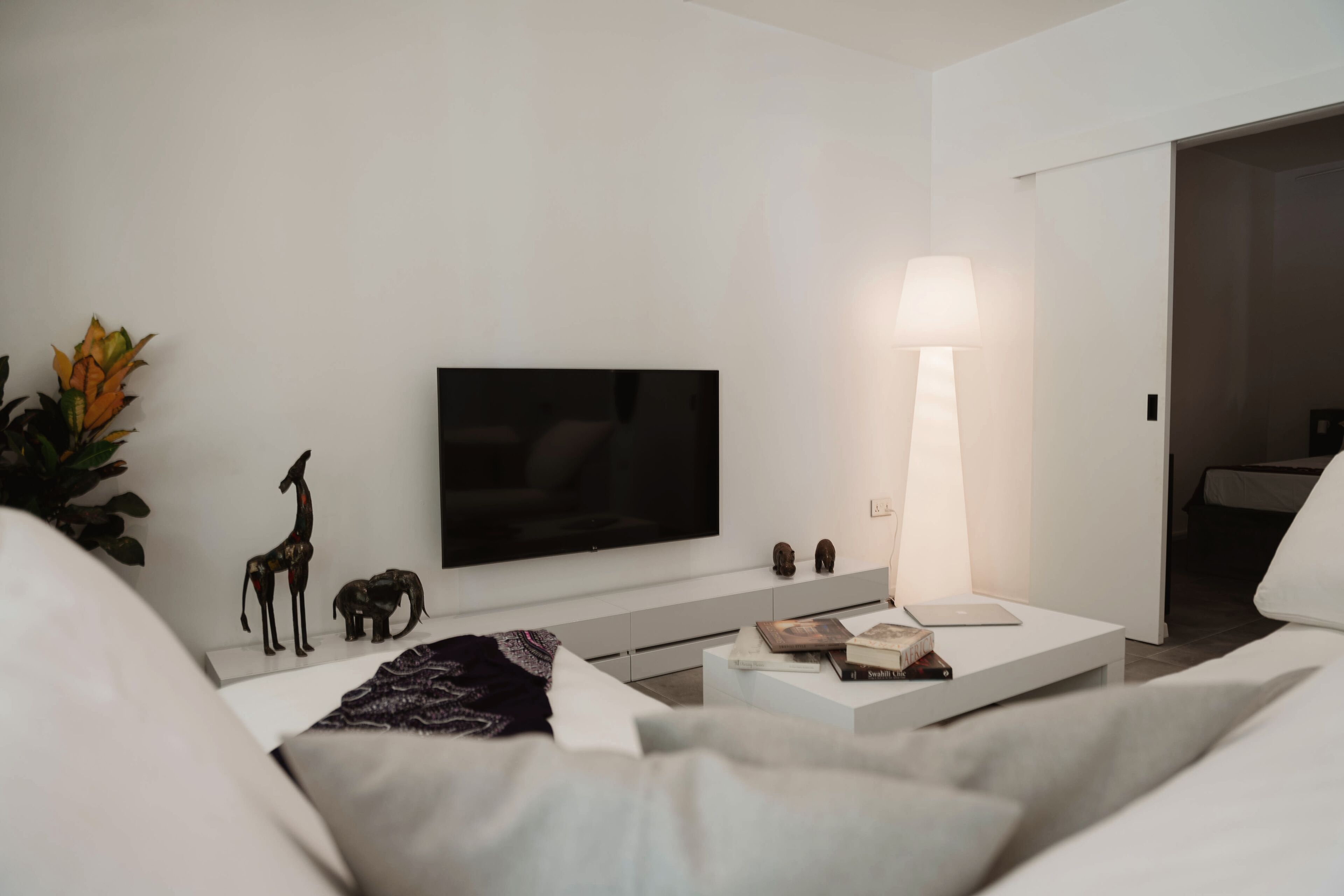 A modern living room with a flat-screen TV, a white sofa, a coffee table with books, a lamp, and a plant.
