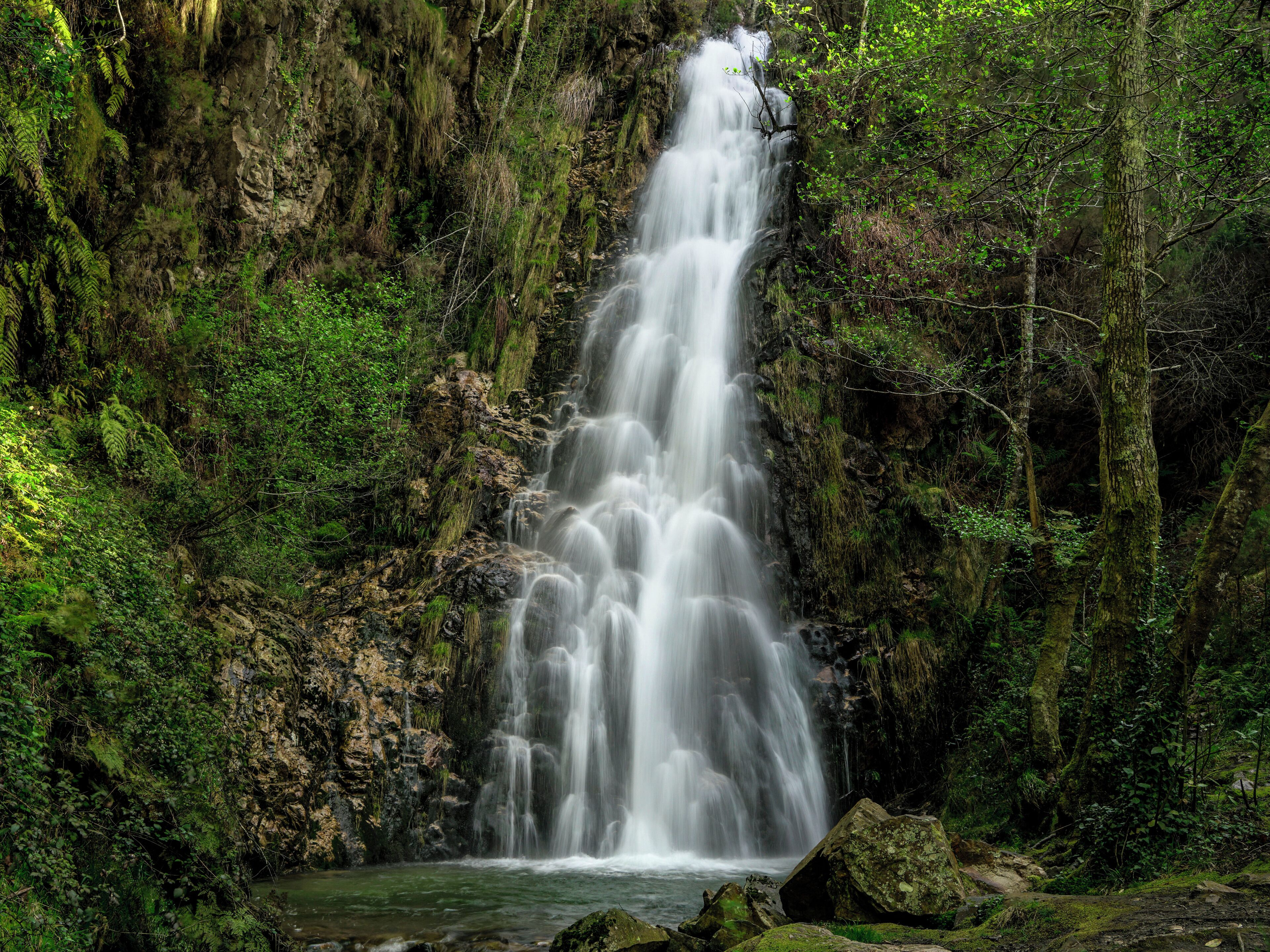 Una cascada se precipita por un acantilado rocoso, rodeada de exuberante vegetación.