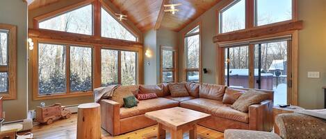 TV, music library, video library, stereo